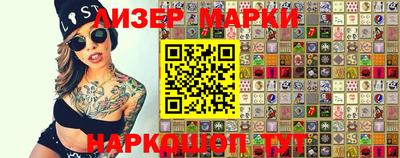 крисы Моздок