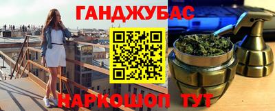 крисы Моздок