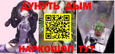 крисы Моздок