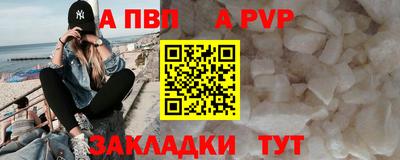 крисы Моздок