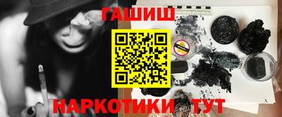 крисы Моздок