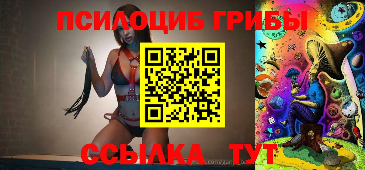 Галлюциногенные грибы мухоморы  Галлюциногенные грибы Psilocybe  купить наркоту  Строитель  Вход с VPN 